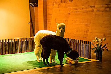 实验性探索游戏《POOLS》现已发售 登陆Steam平台